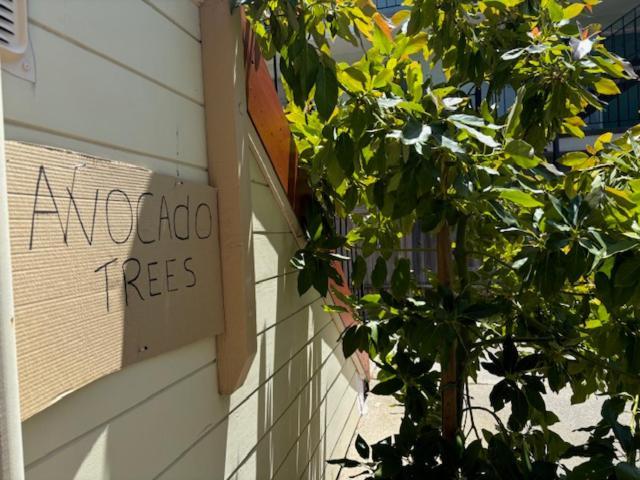 Alameda 2 Bedroom 2 Ba Apt, Ac, 3 Blocks To Beach & Shopping Center & Free Parking Exterior photo
